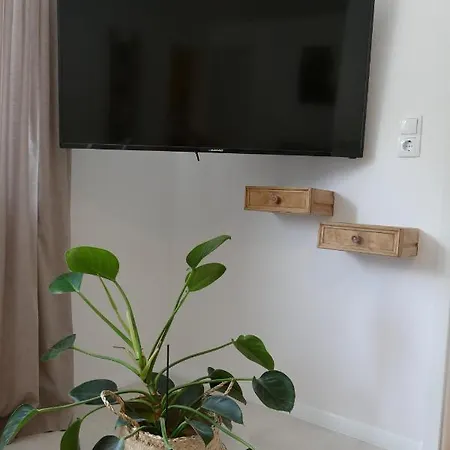 Harzapart 1 Pferdchen